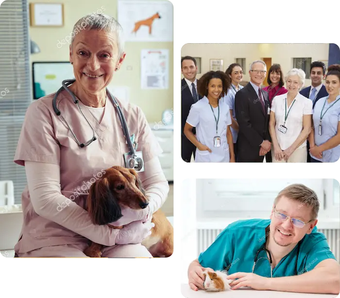 A collage of the team.